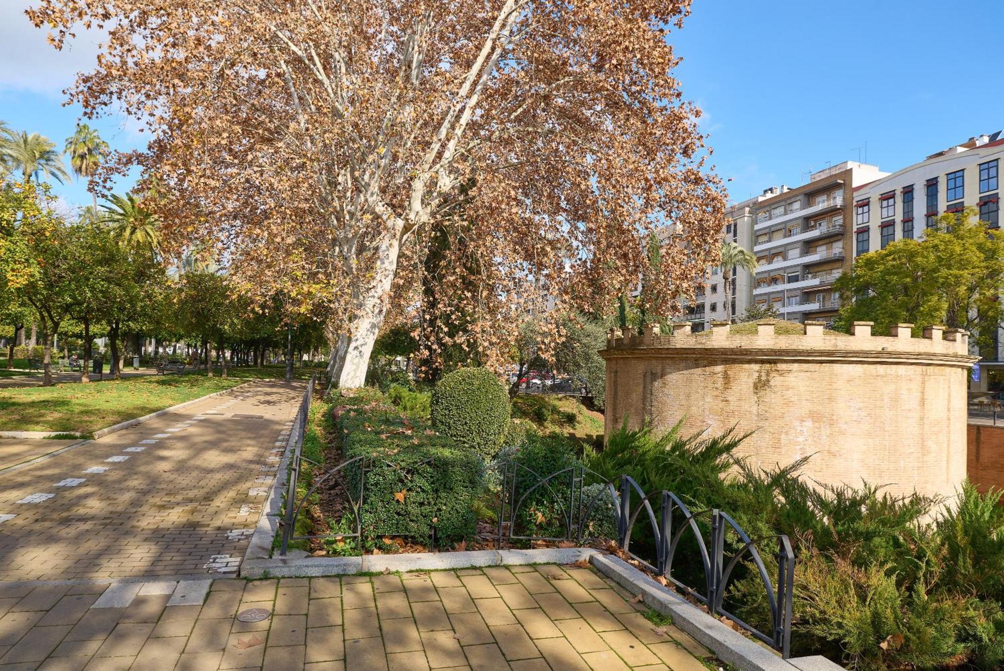 Apartamento Centro Cordoue Extérieur photo
